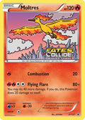 Moltres (Prerelease) (XY127/211) [XY Promos] Holofoil - Promo