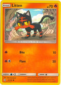 Litten (Water Web Holo) (024/149) [Miscellaneous Cards & Products] Holofoil - Promo