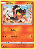 Litten (SM08/248) [SM Promos] Holofoil - Promo