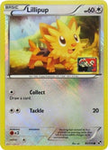 Lillipup (League Promo) (081/114) [League & Championship Cards] Reverse Holofoil - Promo