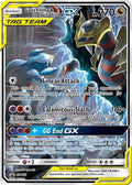 Garchomp & Giratina GX (SM193/248) [SM Promos] Holofoil - Promo