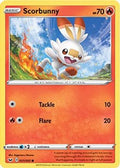 Scorbunny (Premium Collection) (031/202) [Miscellaneous Cards & Products] Holofoil - Promo