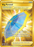 Big Parasol (Secret) (199/189) [SWSH03 Darkness Ablaze] Holofoil - Secret Rare