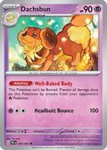 Dachsbun (039/091) [SV Paldean Fates] Reverse Holofoil - Uncommon