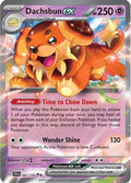 Dachsbun ex (067/142) [SV07 Stellar Crown] Holofoil - Double Rare