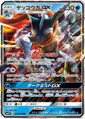 Greninja GX (013/024) - smP2 Great Detective Pikachu Holofoil