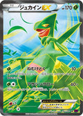 Sceptile EX - 082/081 (082/081) - XY7 Bandit Ring 1st Edition Holofoil
