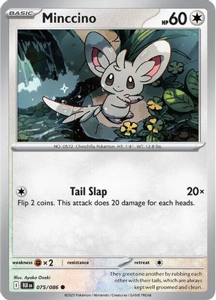 Minccino (075) [SV Black Bolt] Reverse Holofoil - Common