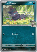 N's Zorua (136) [ME Ascended Heroes] - Common