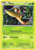 Snivy - BW06 (BW06/101) [Black and White Promos] Holofoil - Promo